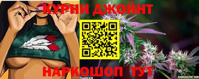 сатива Кумертау