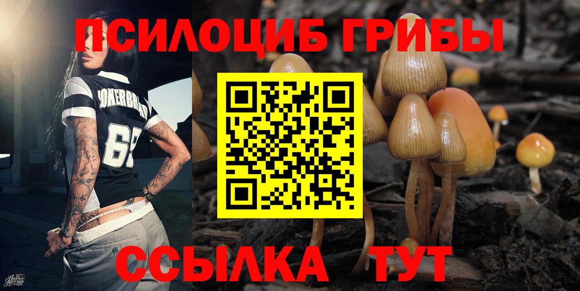 Псилоцибиновые грибы ЛСД  Вход с VPN  Магадан 